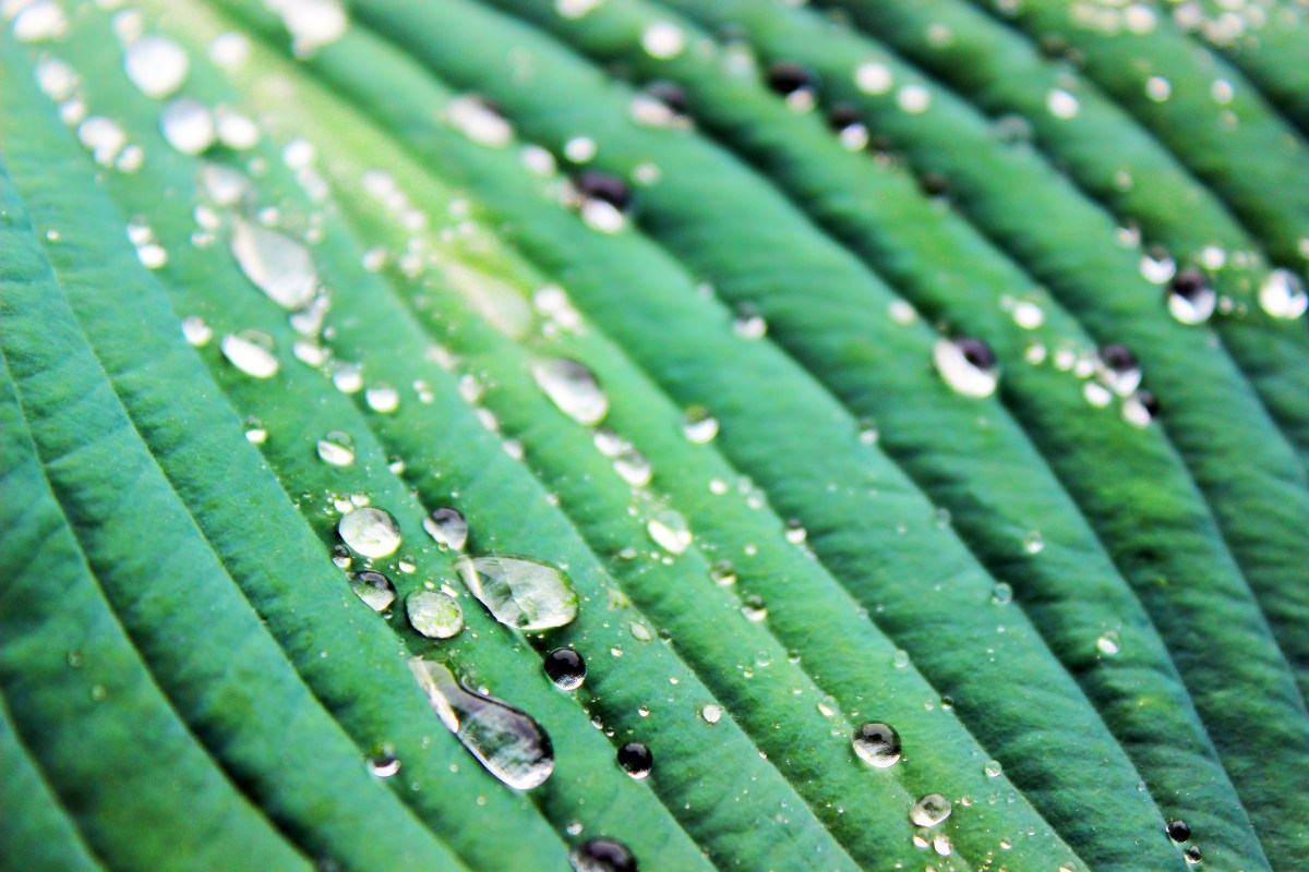 The power of vulnerability: why writers don’t need a thick&nbsp;skin